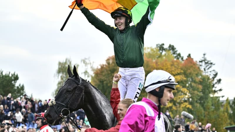 Velkou pardubickou vyhrál po 30 letech zahraniční kůň. Loňský vítěz skončil před cílem