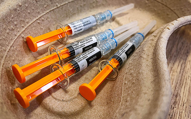 Žloutenky v Moravskoslezském kraji přibývá. Už je i první oběť