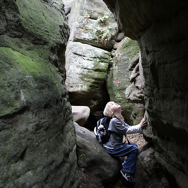 Boj za Maštale. Petici proti zrušení přírodní rezervace podepsaly tisíce lidí