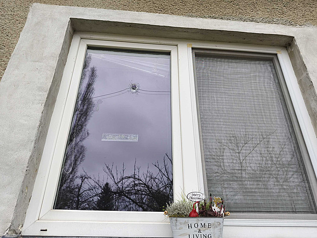 Matku zastřelila kvůli majetku. Policie  obvinila z vraždy 18letou dívku s přítelem