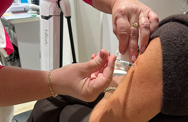 Co si pohlídat před sezonou 2026: přehled očkování zdarma a příspěvků pojišťoven