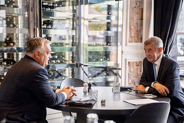 Vyjádření Zelenského vůči Orbánovi označil Babiš za velmi nestandardní